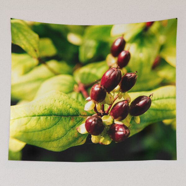Item preview, Garden Photography #15 designed and sold by Olympia Ellinas.