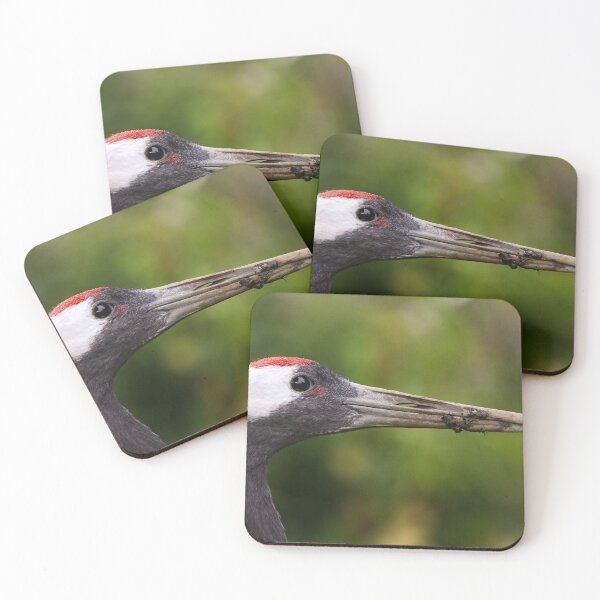 Item preview, Red crowned crane designed and sold by GreyFeatherPhot.