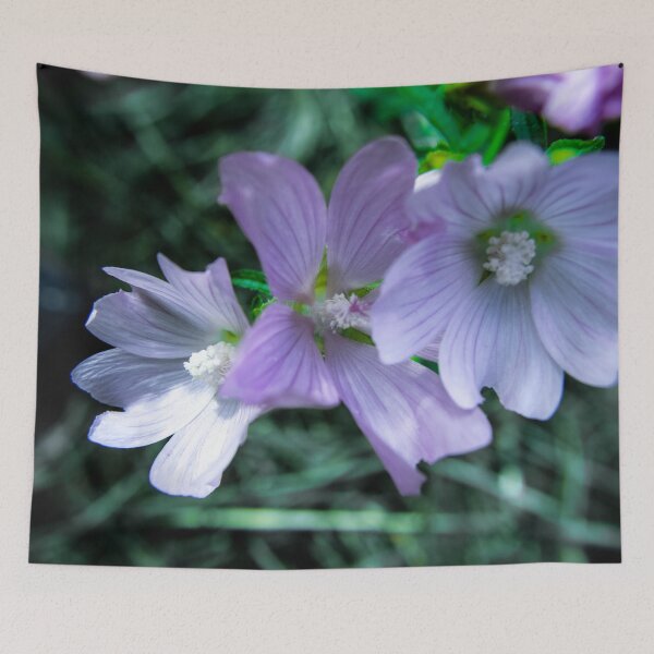 Item preview, Garden Photography #16 designed and sold by Olympia Ellinas.