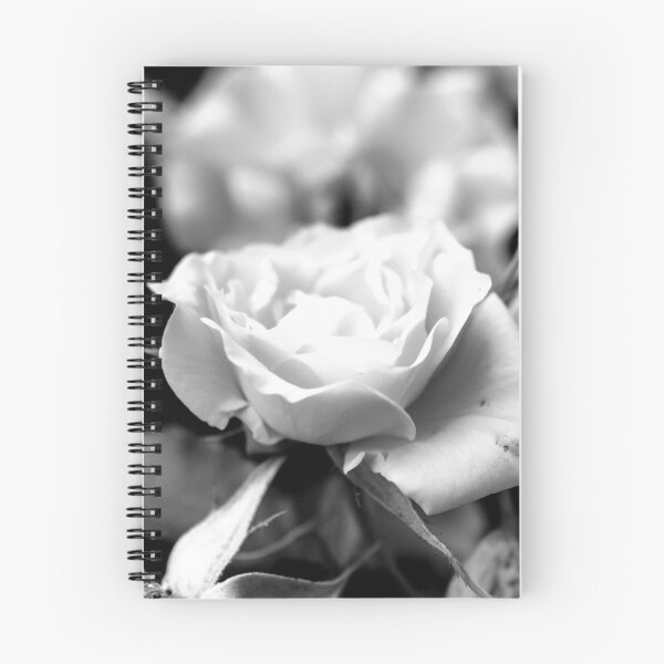 Artikelvorschau, Gartenfotografie Edit # 7 entworfen und verkauft von Olympia Ellinas.