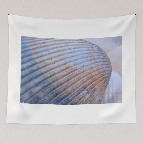 Item preview, Seashell Abstract designed and sold by LisaWootenPhoto.