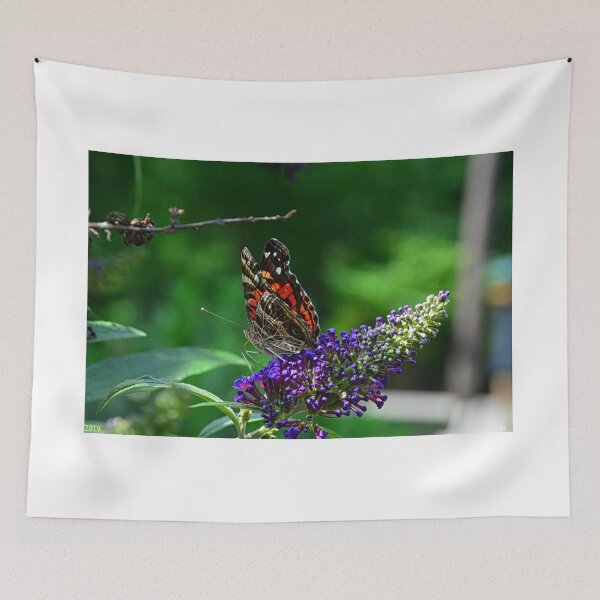 Artikelvorschau, Roter Admiral Schmetterling entworfen und verkauft von LisaWootenPhoto.