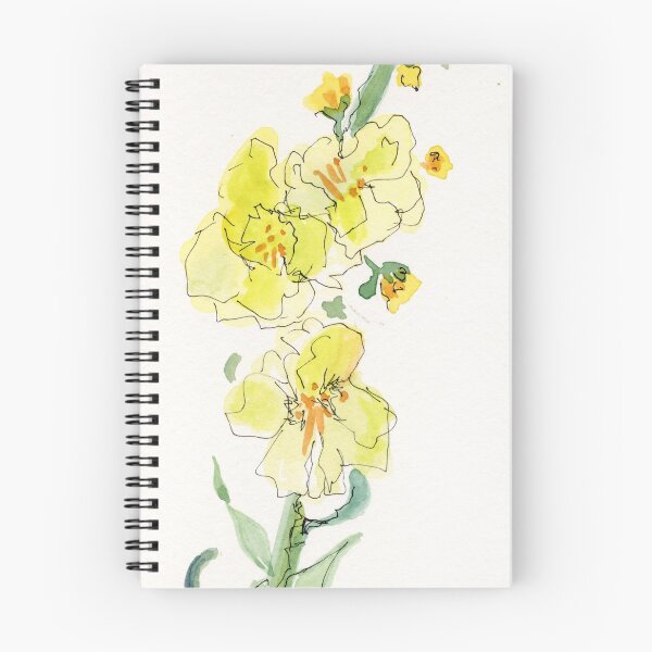Item preview, Verbascum designed and sold by Gabriele Maurus.