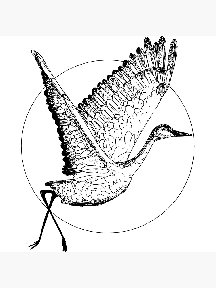 Premium Vector | Hand drawn sketch crane bird illustration
