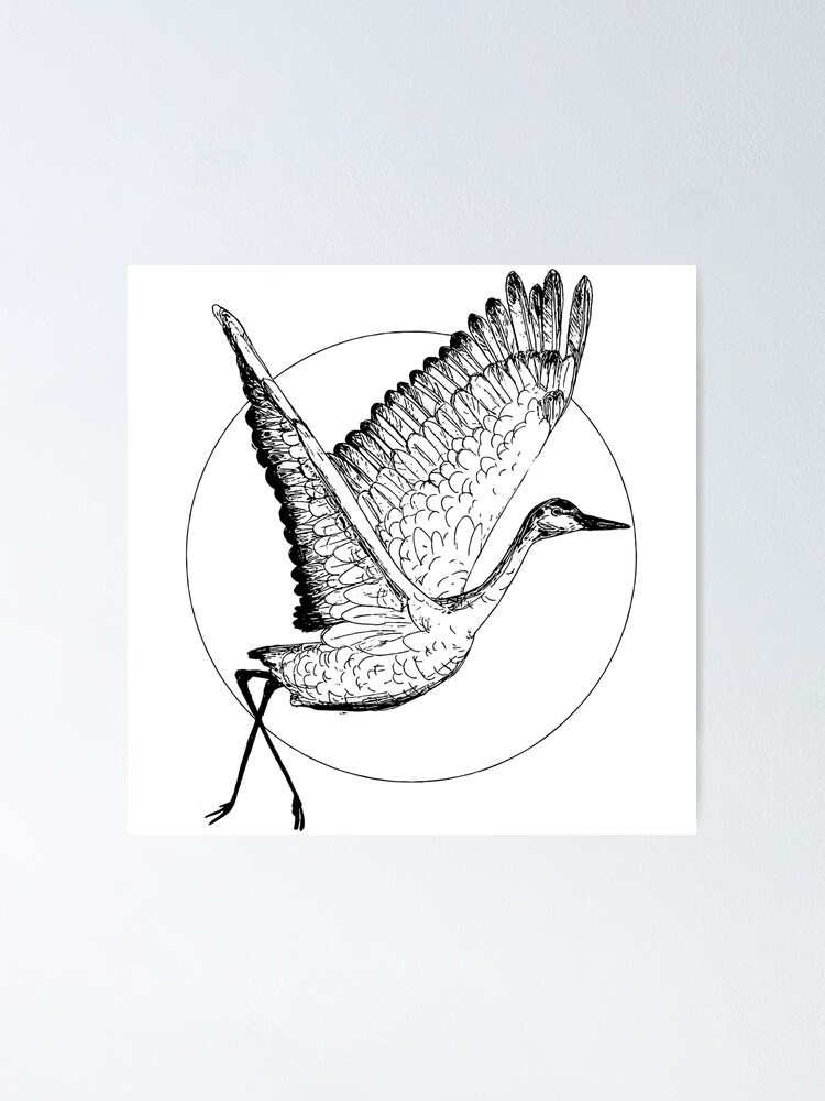Flying Sandhill Crane Illustration / Crane Bird Drawing / Flying Crane  Coaster by Laura Maxwell | Society6