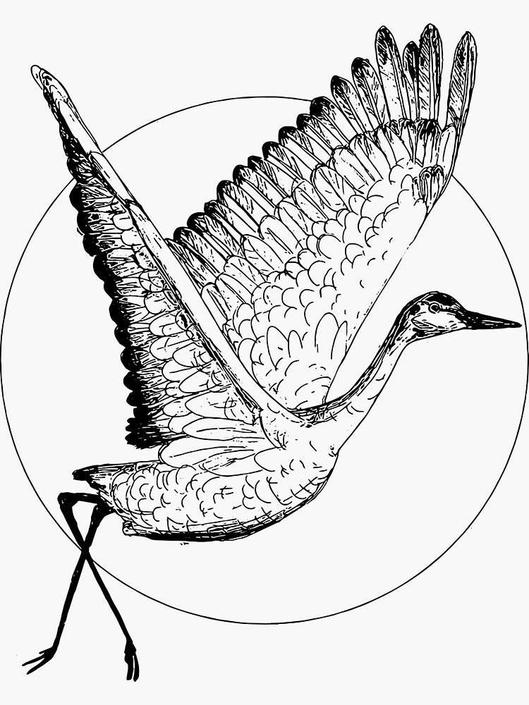 Japanese Crane Bird Drawing Watercolor Ink Illustration Style Sumi Sin  Stock Illustration by ©marinakutukova #220161244