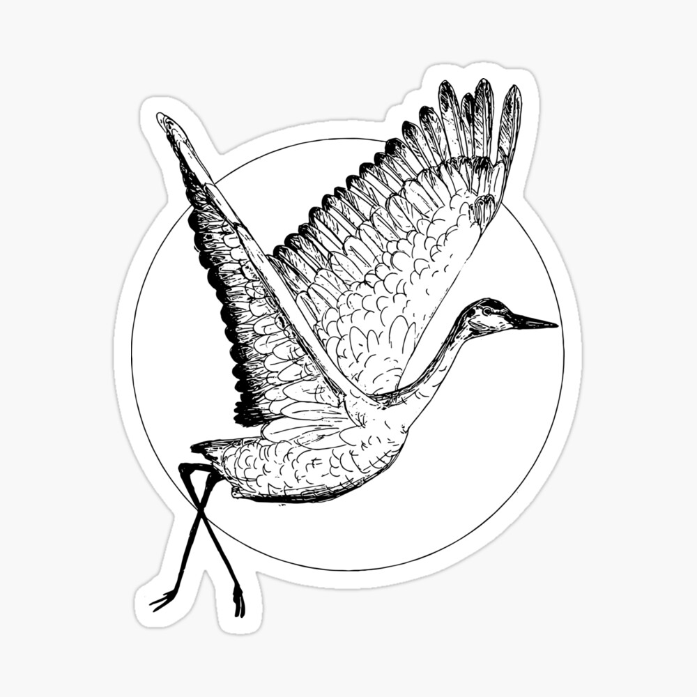 Vector watercolor set of illustrations bird crane. White stork . isolated  object:: tasmeemME.com
