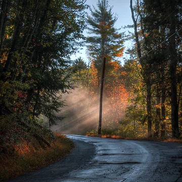 Artwork thumbnail, Light Rays on Jackson Rd by aaronc
