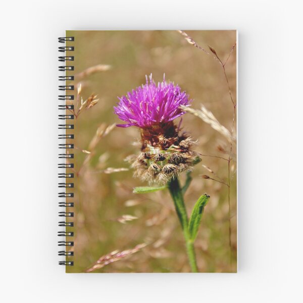 Item preview, Knapweed II designed and sold by Kathleen Daley.