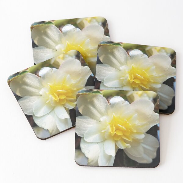 Item preview, White and Yellow Begonia designed and sold by MooseDogPhotos.