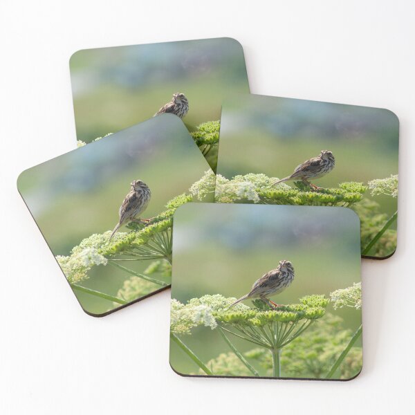 Item preview, Savannah Sparrow designed and sold by Kaylee Busniuk.