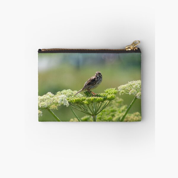 Item preview, Savannah Sparrow designed and sold by Kaylee Busniuk.