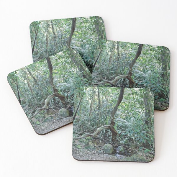 Item preview, Twisted Remnant (Along the Track, Wooroonooran National Park, Tropical FNQ.) designed and sold by Kerryn Madsen-Pietsch.