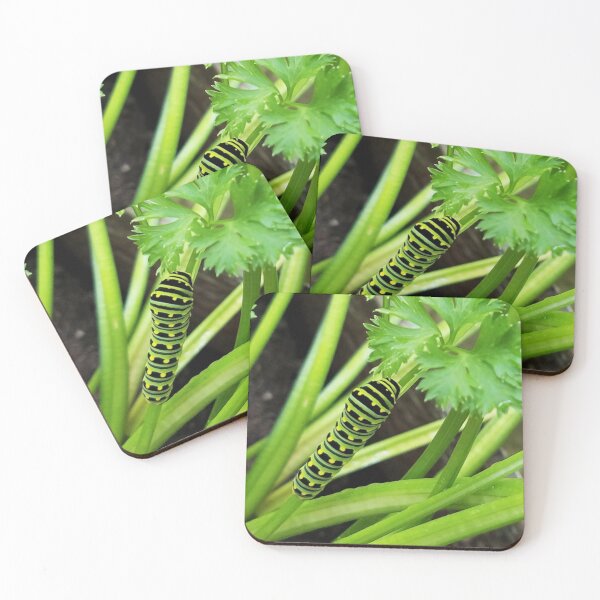 Item preview, Black Swallowtail Caterpillar designed and sold by MooseDogPhotos.