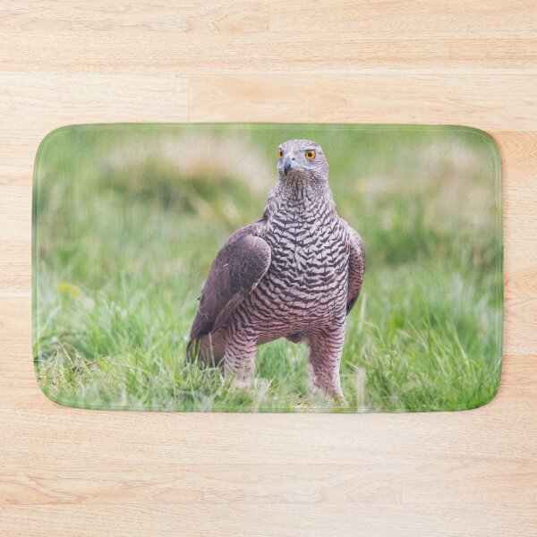 Item preview, Northern Goshawk designed and sold by Dominika Aniola.