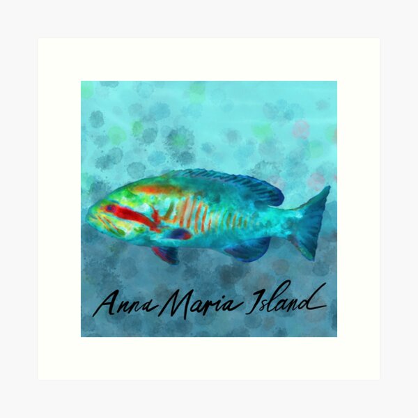 Anna Maria island grouper Art Print