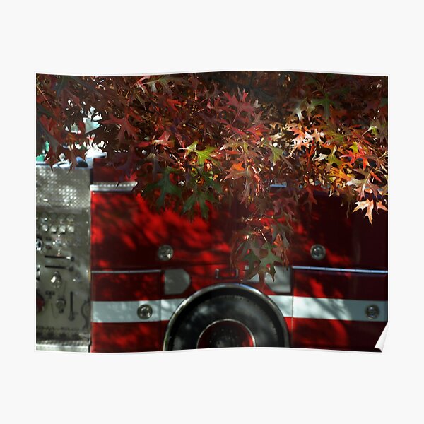 Autumn Reds 1 Poster