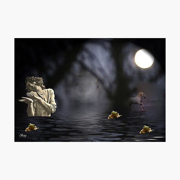 Item preview, Moondance at Frog Lake designed and sold by Gilberte.