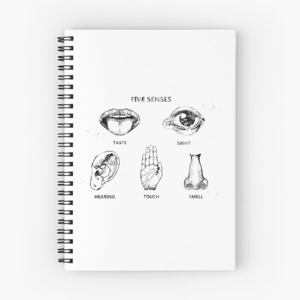 Item preview, Five senses designed and sold by Liededrom..