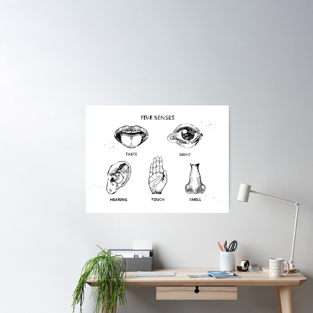 Hand Drawn Icons Five Human Senses Stock Vector (Royalty Free) 1017547897 |  Shutterstock