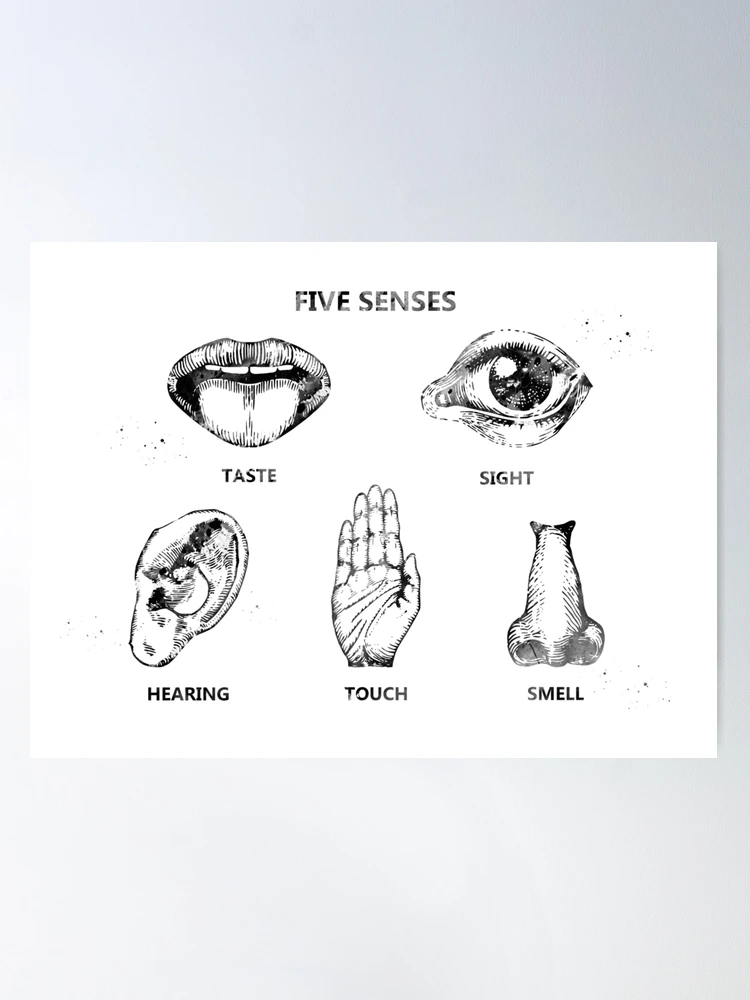 Five Senses Worksheet