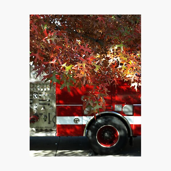 Autumn Reds 2 Photographic Print