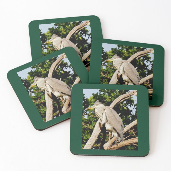Item preview, Heron at the Canal..........Fleet Hampshire UK designed and sold by lynn carter.