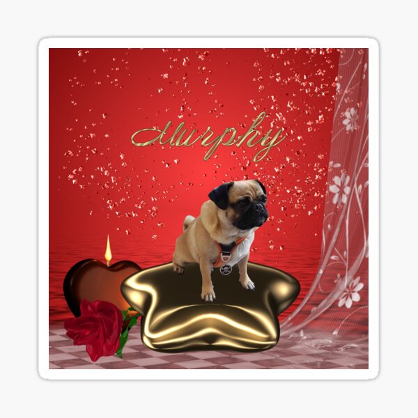 Murphy auf Stern Sticker