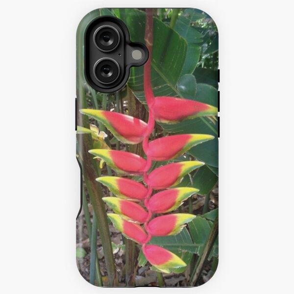 Tropicle Dangles iPhone Tough Case