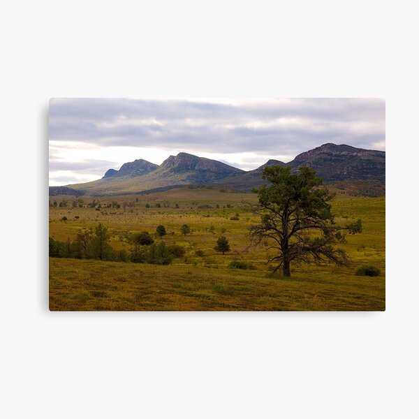 Item preview, Evening light, Wilpena Pound, South Australia. designed and sold by johnrf.