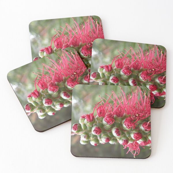 Item preview, Beauty Emerging. designed and sold by Trish Meyer.