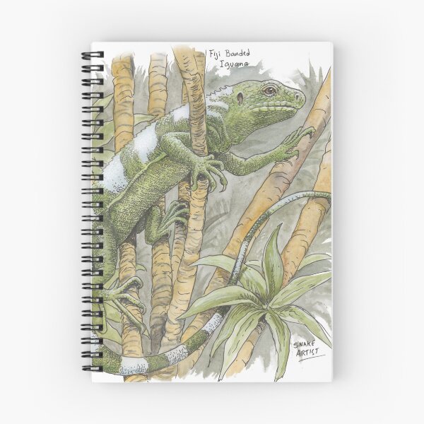 Item preview, Fiji Island Banded Iguana designed and sold by SnakeArtist.