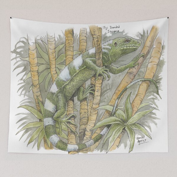 Item preview, Fiji Island Banded Iguana designed and sold by SnakeArtist.