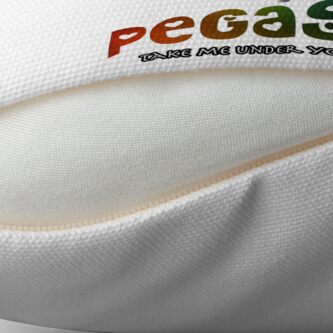 Alternate view of Pegasus - Take me under your wing Throw Pillow