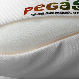 Alternate view of Pegasus - Take me under your wing Floor Pillow