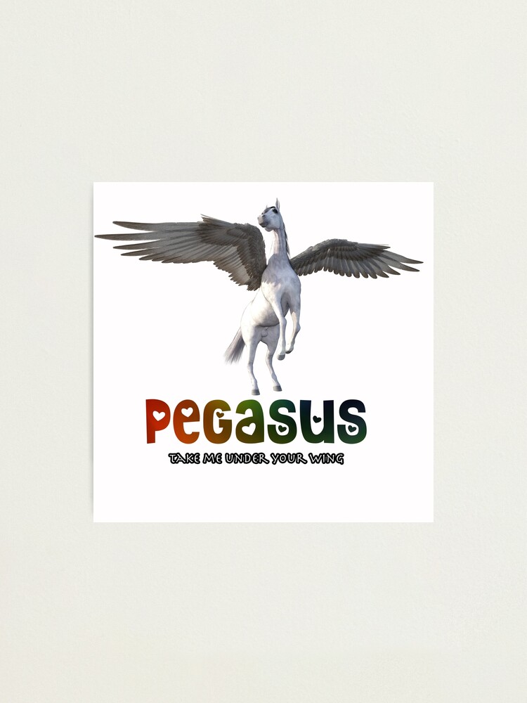 Alternate view of Pegasus - Take me under your wing Photographic Print