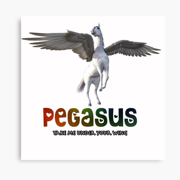 Pegasus - Take me under your wing Canvas Print