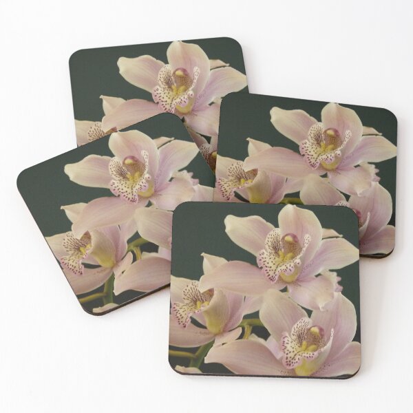 Item preview, "Best Pink" designed and sold by Trish Meyer.