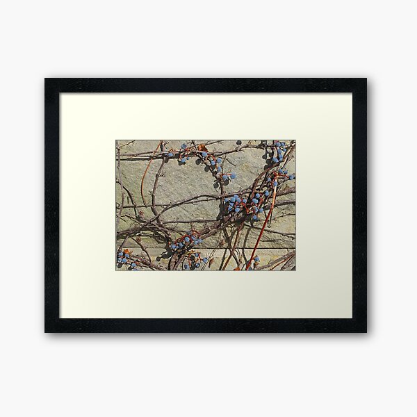 Item preview, All Manor of Grapes designed and sold by Monnie Ryan.