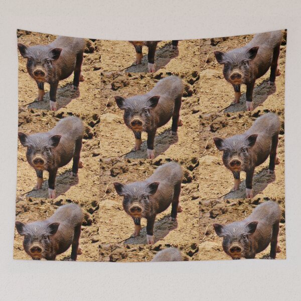 Item preview, A Confident Little Porker designed and sold by Martha Sherman.