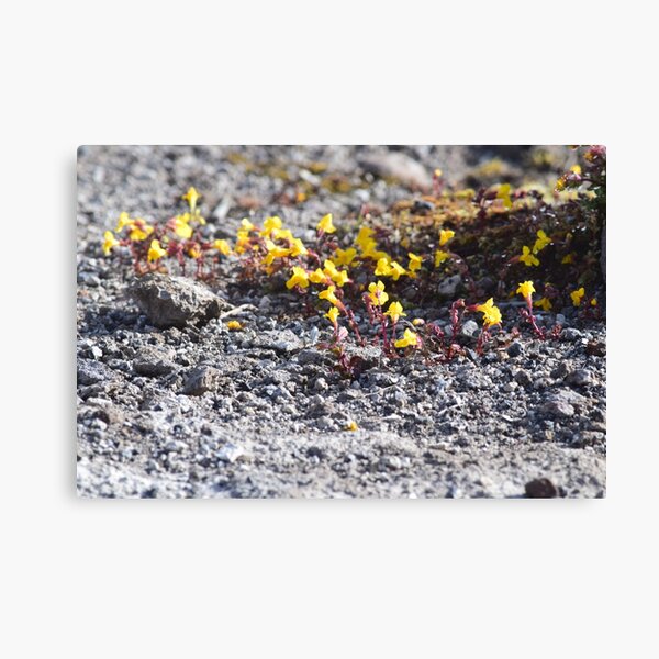 Item preview, Small Yellow Flowers designed and sold by MontanaWolves21.