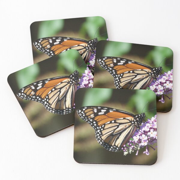 Item preview, Magnificent Monarch 2 designed and sold by Trish Meyer.