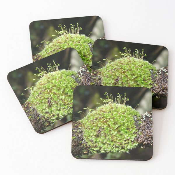 Item preview, Moss designed and sold by Trish Meyer.