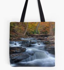Kitchen Creek Autumn, Ricketts Glen Tote Bag
