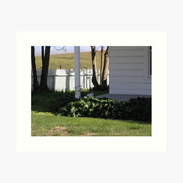 Polka Dot Farm Cat Art Print