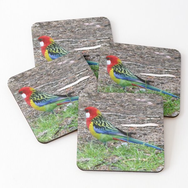Item preview, Eastern Rosella designed and sold by Trish Meyer.
