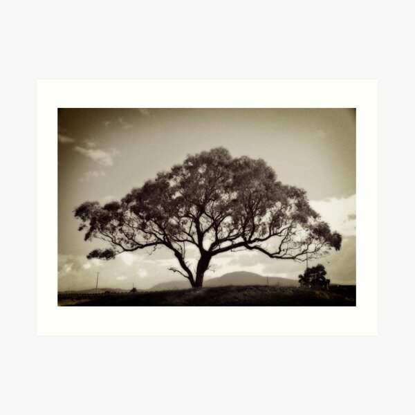 One Tree Hill Art Print