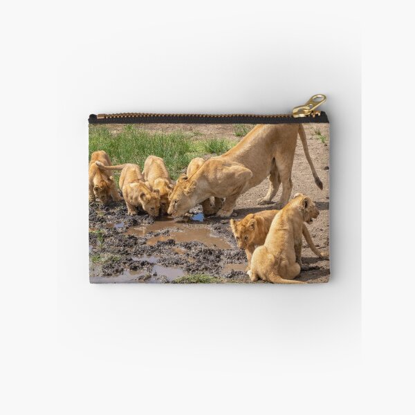Item preview, Lions Drinking, Ngorongoro Concession Tanzania designed and sold by Andrew Goodall.