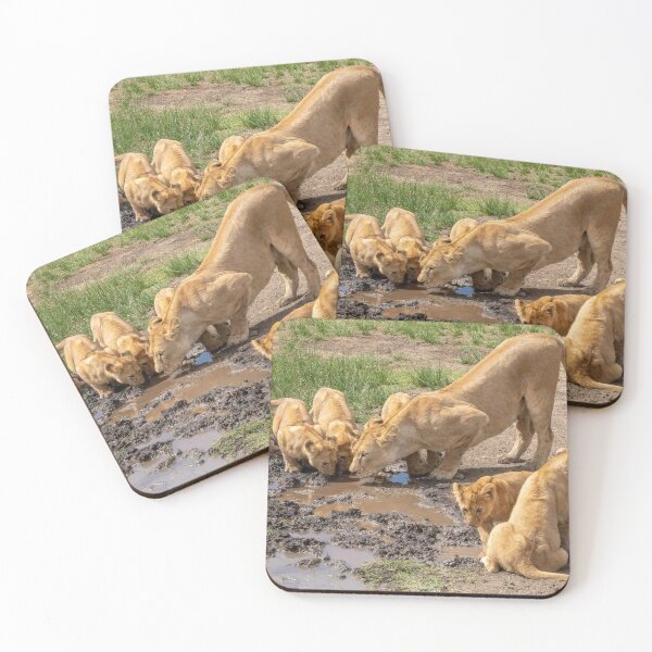 Item preview, Lions Drinking, Ngorongoro Concession Tanzania designed and sold by Andrew Goodall.