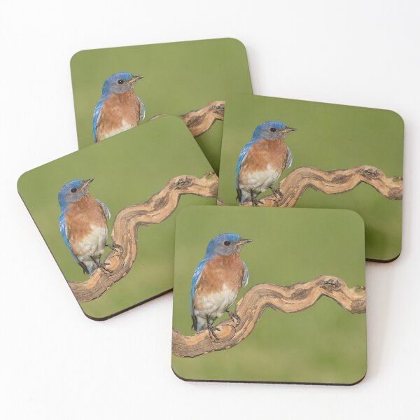 Item preview, Eastern Bluebird designed and sold by (Tallow) Dave  Van de Laar.